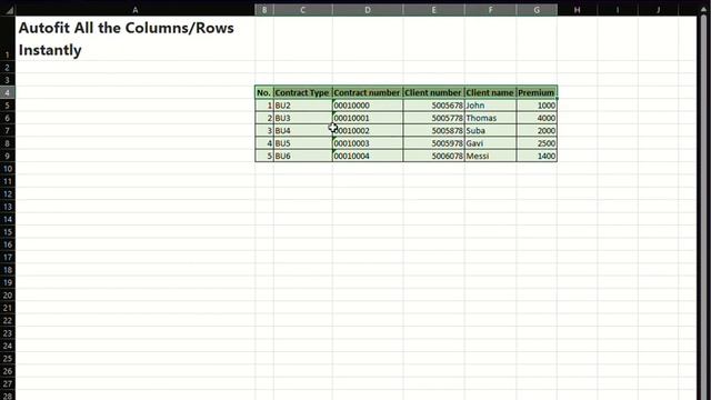 How to Autofit All the Columns/Rows Instantly