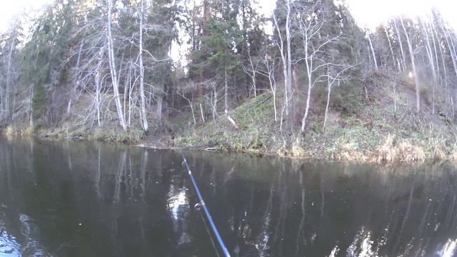 БЕРЕЗАЙКА. перехожу на силикон.