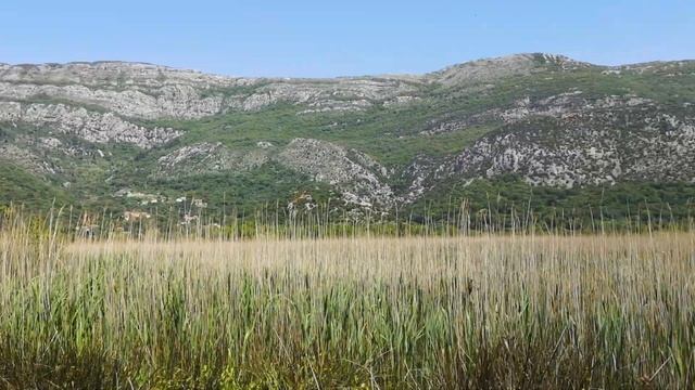 Шаманские сказки 1ч. Джованфранческо. конек-горбунок. смотреть онлайн