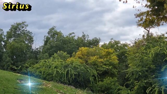 26 сентября день Корнилия: что категорически нельзя делать смотреть онлайн