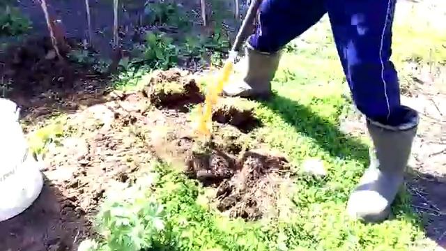 Культиватор Торнадо смотреть онлайн