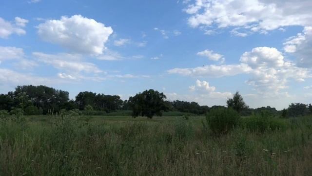 Любэ.