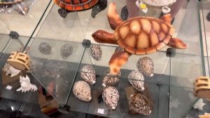 Шоппинг на Мальдивах, Thoddoo!/