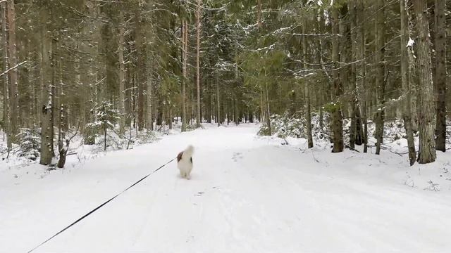 ВЛОГ | ПЕТЕРБУРГ | УЧУСЬ ПРИНИМАТЬ СЕБЯ, КОГДА ВСЕ ИДЕТ НЕ ПО ПЛАНУ смотреть онлайн