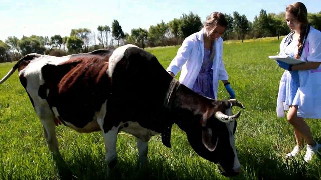 Ветеринария и жизнь смотреть онлайн