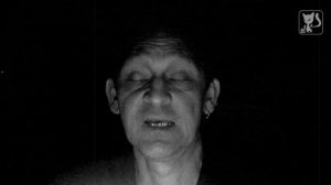 Пацифистское (ЦИкл "Графомания")