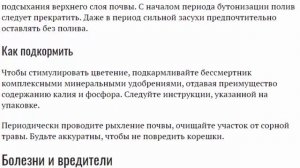 Ксерантемум. Выращивание из семян в домашних условиях. Фото и описание сортов.