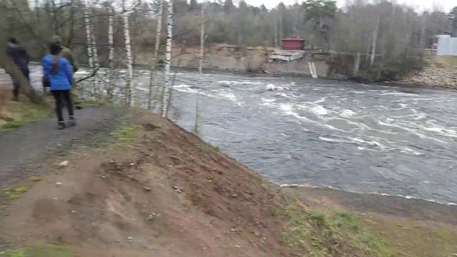 Вуокса. смотреть онлайн