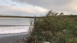 Катер Бокар двигатель Меркури 60