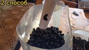 ЧЕМ ПОМЯТЬ ВИНОГРАД?