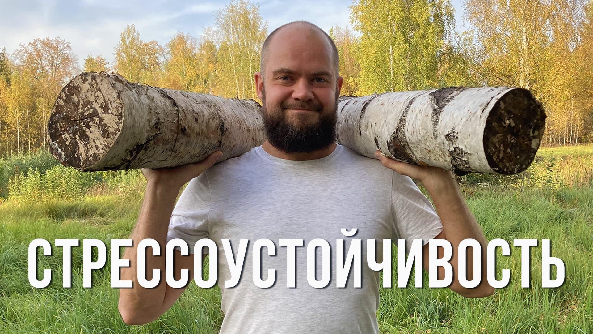Стрессоустойчивость