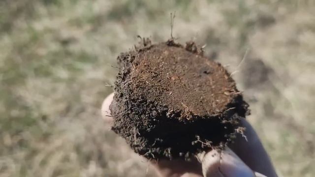 Nokta Makro Legend Первый коп 2023 с прибором Нокта Макро Легенд поиск монет с металлоискателем