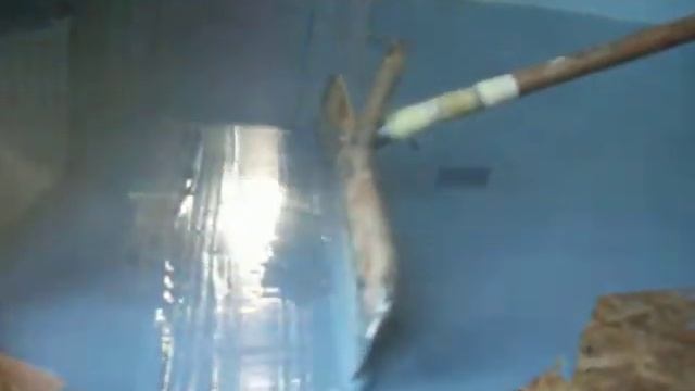 Пол наливной КЕ «Hobby 221-Pour» на даче смотреть онлайн