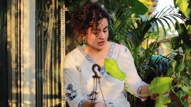 How to score FREE plants from the roadside: Easy propagation techniques смотреть онлайн