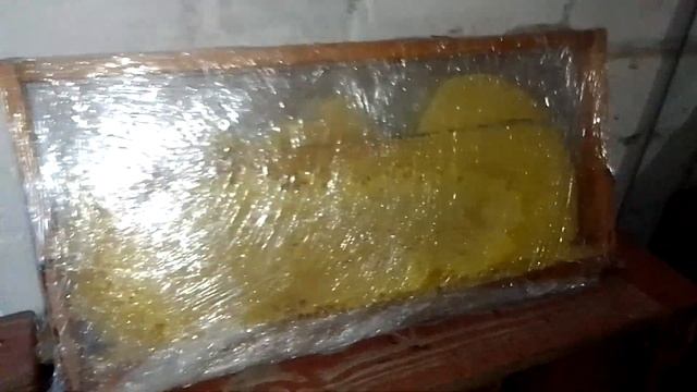 Сколько проживёт пчела без жала? смотреть онлайн