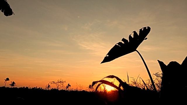Разговор с Отцом. Почему всё так?
