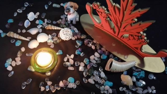 Что делать с шумными соседями? смотреть онлайн