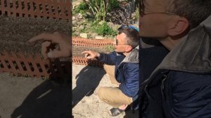"САМ СЕБЕ ОРТОПЕД" показ правильного шага