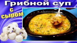 Грибной суп из шампиньонов с плавленным сыром
