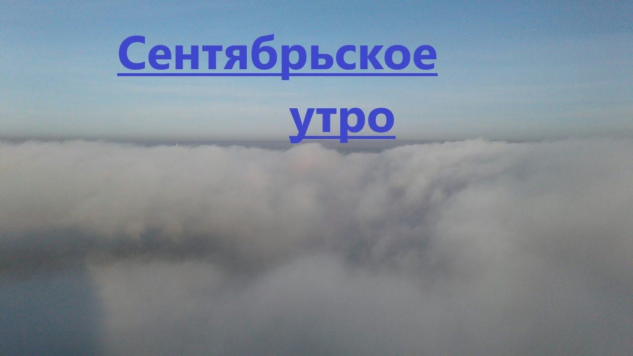 Пермское, сентябрьское утро) Гормональная терапия подавила овуляцию.