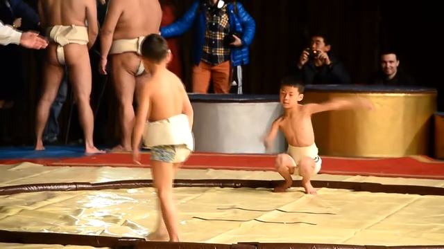 Чемпионат по сумо в Бишкеке смотреть онлайн
