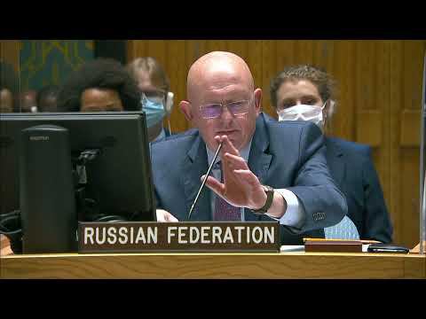Выступление Постоянного представителя В.А.Небензи на заседании СБ ООН по миротворчеству