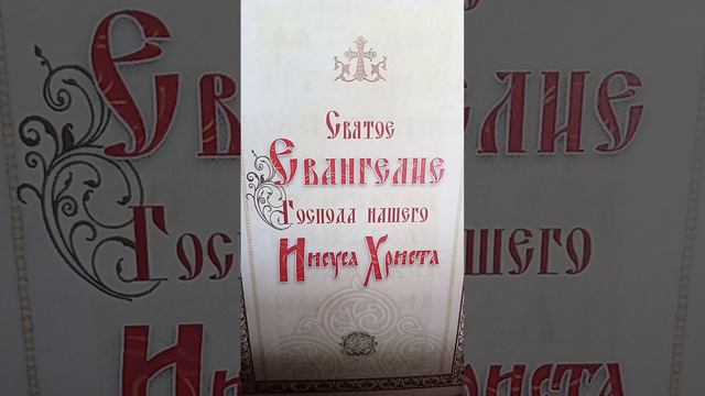 Читаем Евангелие каждый день по одной главе.От Матфея глава девятая. смотреть онлайн