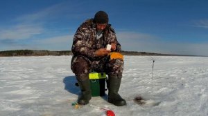 Про рыбалку коротко .