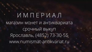 Металлоискатель Nokta Makro Simplex Plus (Симплекс), краткий обзор.
