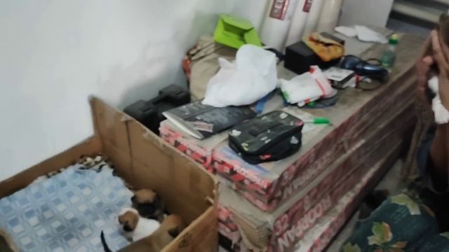 СЧАСТЬЕ У НАС РОДИЛИСЬ ВНУКИ БАБА ЛЮБА И ДЕДА САНЯ Шиндр Мындр @ShindrMindr_Official смотреть онлайн