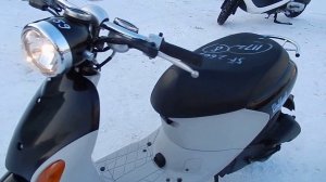 B6459 SUZUKI LETS 4 PALETTE