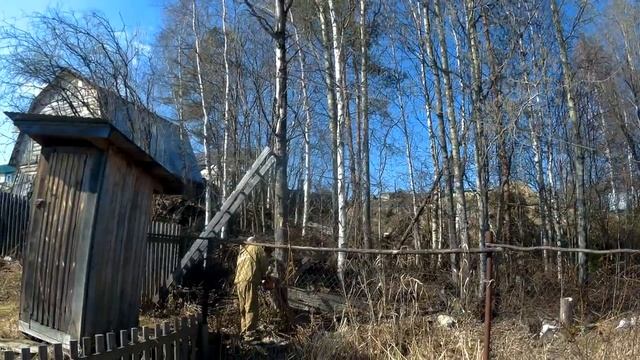 Дикая валка леса на участке или Парма М5 в деле! смотреть онлайн