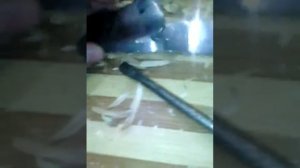 Как сделать нож из ветки липы и старого сломанного ножа (часть 1)