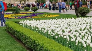 Обзор санатория Электроника и местных окрестностей Кисловодск а (часть 2)