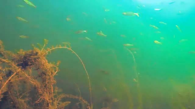 Увильды Михаил Калганов смотреть онлайн