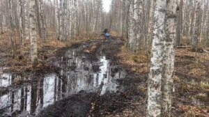 Мотобуксировщик Помор 650 на весенней охоте