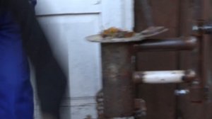 ПАЛИВНІ БРИКЕТИ З ЛИСТЯ/ FUEL BRIQUETTES FROM LEAVES