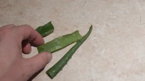 АЛОЭ + МЁД. Лечит геморрой, насморк и улучшает иммунитет! //ЛАЙФХАК