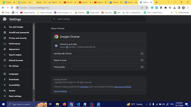 How To Download Chrome Driver For Chrome Browser 115 and Above