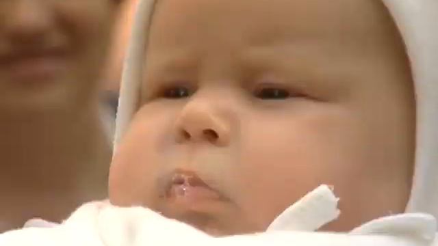 Проект доверия смотреть онлайн