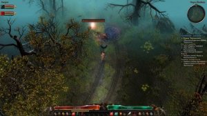 Grim Dawn \ Грим дон \ Ветеран \ #2 Призыватель