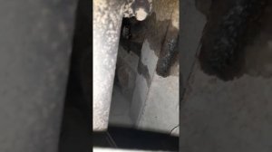 Замена(слив антифриза з блока) бмв е34