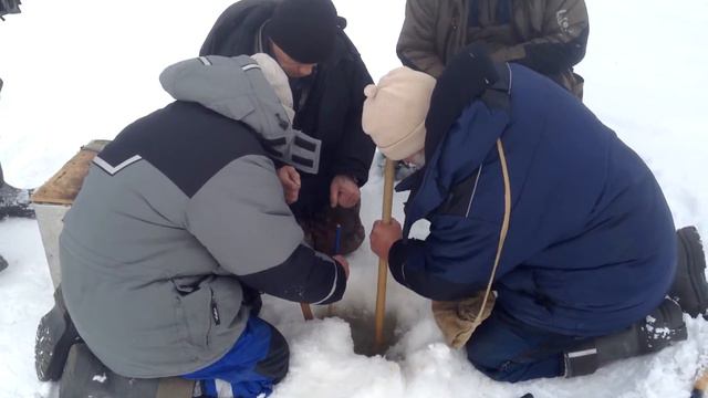 Судак и сом смотреть онлайн