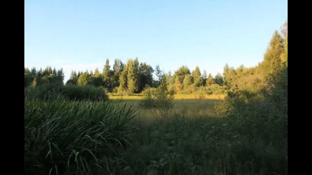 Самый красивый участок на Чудском озере