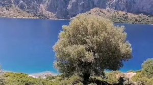 Обзор острова Камелии с руинами монастыря. Мармарис. #мармарис #экскурсия #эгейскиеострова #marmari