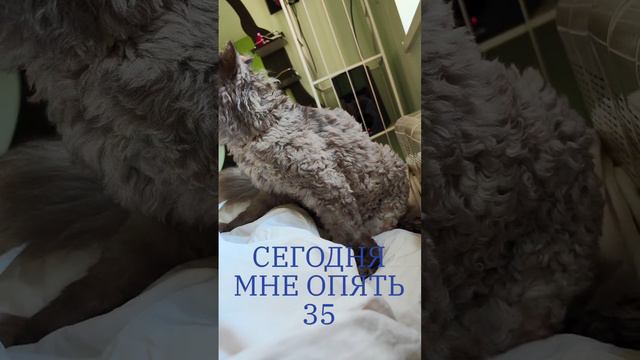 2024 08 08 ОПЯТЬ 35 .mp4