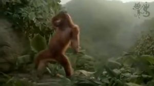 Песня суббота