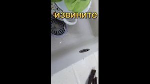 как правильно обработать ветки для хомяка