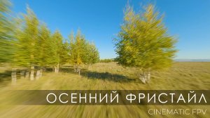 Осенний фристайл | Cinematic FPV