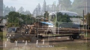#594. Лесовозы МАЗ [Авто подборка]